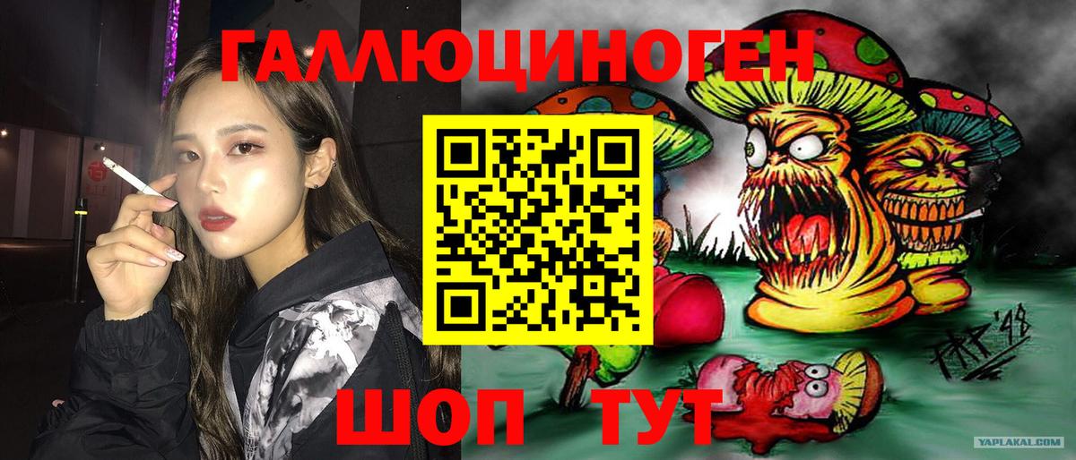 Псилоцибиновые грибы Cubensis  Вход с VPN  Салехард 